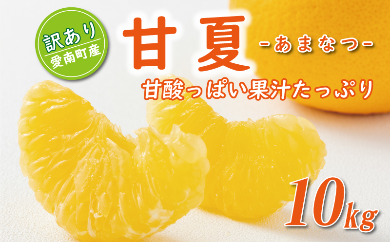 先行予約 訳あり 甘夏 10kg 7000円 樹齢25年 以上 みかん mikan 蜜柑 あまなつ 夏みかん グレープフルーツ だいだい 家庭用 事前 予約 受付 産地直送 国産 農家直送 糖度 期間限定 数量限定 特産品 ゼリー マーマレード ピール ジュース デザート 人気 限定 おいしい 果実 果肉 フルーツ 果物 柑橘 美味しい サイズ ミックス 減農薬 くらもとファーム 愛南町 愛媛県 みかん みかん みかん みかん みかん みかん みかん みかん