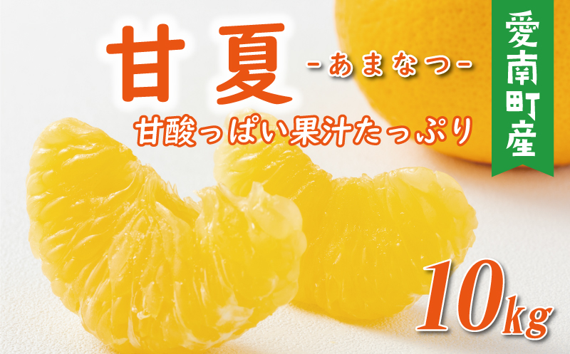 先行予約 贈答用 甘夏 10kg 10000円 樹齢25年 以上 みかん mikan 蜜柑 あまなつ 夏みかん グレープフルーツ だいだい 家庭用 事前 予約 受付 産地直送 国産 農家直送 糖度 期間限定 数量限定 特産品 ゼリー マーマレード ピール ジュース デザート 人気 限定 おいしい 果実 果肉 フルーツ 果物 柑橘 美味しい サイズ ミックス 減農薬 くらもとファーム 愛南町 愛媛県 みかん みかん みかん みかん みかん みかん みかん みかん