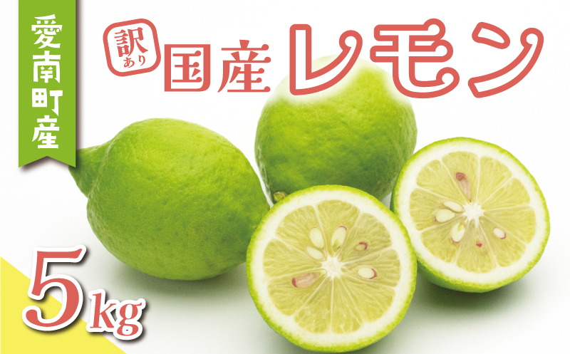 訳あり レモン 5kg 7000円 柑橘 サイズ 不揃い 家庭用 檸檬 国産 フルーツ 果物 果実 産地直送 農家直送 数量限定 期間限定 特産品 瀬戸内 ワックス 防腐剤 不使用 有機栽培 果汁 人気 新鮮 レモネード 塩レモン レモン酢 レモンソース はちみつレモン レモンケーキ レモンスカッシュ レモンサワー レモン酎ハイ ビタミン くらもとファーム 愛南町 愛媛県 レモン レモン レモン レモン レモン レモン レモン レモン レモン レモン