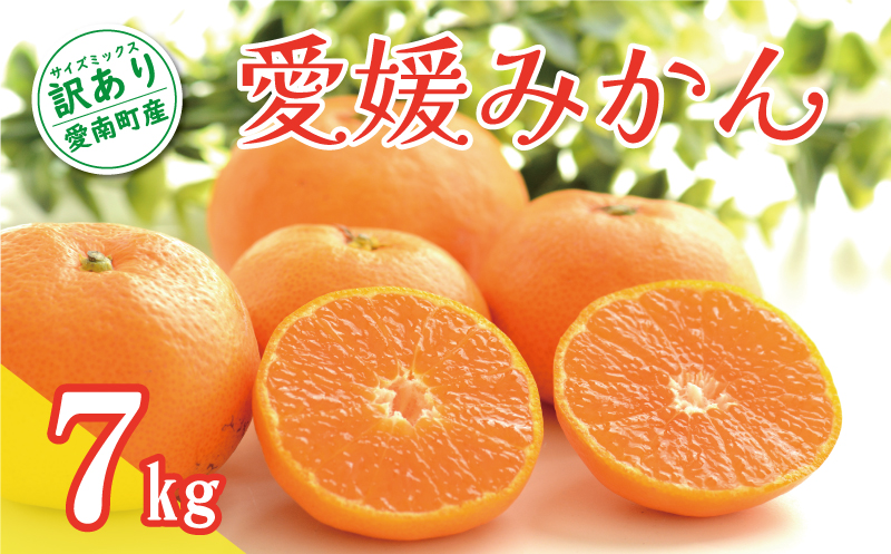 先行予約 訳あり 愛媛みかん 7kg 10000円 温州みかん こたつ みかん 温州 みかん mikan 蜜柑 愛媛 ミカン 完熟 家庭用 産地直送 国産 農家直送 糖度 期間限定 数量限定 特産品 ゼリー ジュース アイス 人気 限定 甘い 果実 果肉 フルーツ 果物 柑橘 先行 事前 予約 受付 ビタミン 健康 美味しい おいしい ジューシー サイズ ミックス くらもとファーム 愛南町 愛媛県 みかん みかん みかん みかん みかん みかん みかん みかん