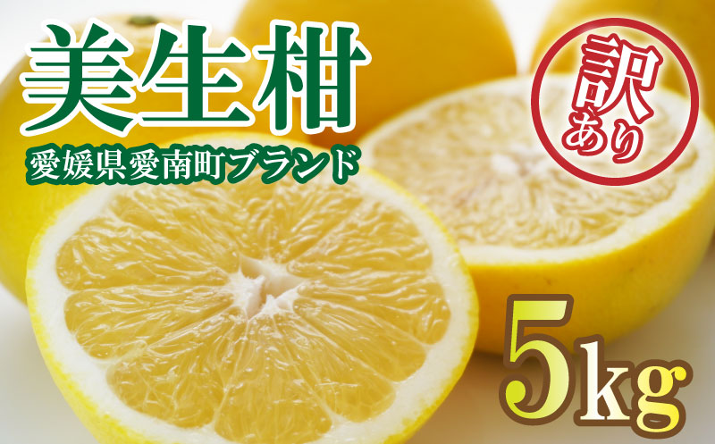 先行予約 訳あり 美生柑 みしょうかん 約5kg 河内晩柑 不揃い 大小ミックス 傷あり ばんかん フルーツ