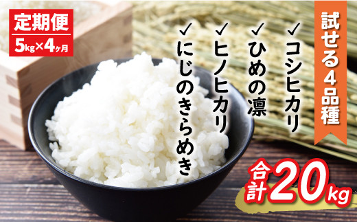 先行予約 新米 令和6年産 定期便 4回 試せる 4種 合計 20kg コシヒカリ ひめの凛 ヒノヒカリ にじのきらめき 5kg × 4回 お米 白米 精米 こしひかり 低温 貯蔵庫 産地直送 国産 農家直送 期間限定 数量限定 特産品 先行 事前 予約 受付 令和6年度産 2024年産 新品種 大粒 もっちり 粘り 甘み おいしい おにぎり 贈答品 プレゼント 愛南町 愛媛県 マルハラファーム 新米 お米 白米 精米 新米 お米 白米