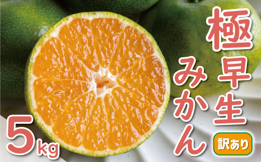 先行予約 訳あり 極早生 温州みかん 5kg 7000円 愛媛 みかん こたつ みかん 家庭用 産地直送 国産 農家直送 糖度 果樹園 期間限定 数量限定 特産品 ゼリー ジュース アイス 人気 限定 甘い 果実 果肉 フルーツ 果物 柑橘 蜜柑 先行 事前 予約 受付 ビタミン 健康 美容 美味しい ジューシー 規格外 サイズ ミックス 愛南町 愛媛県 ミッチーのおみかん畑 みかん みかん みかん みかん みかん みかん みかん みかん みかん みかん