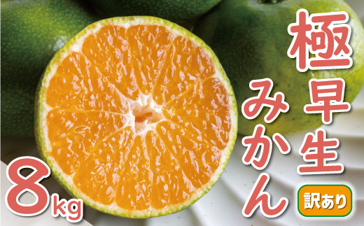 先行予約 訳あり 極早生 温州みかん 8kg 10000円 愛媛 みかん こたつ みかん 家庭用 産地直送 国産 農家直送 糖度 果樹園 期間限定 数量限定 特産品 ゼリー ジュース アイス 人気 限定 甘い 果実 果肉 フルーツ 果物 柑橘 蜜柑 先行 事前 予約 受付 ビタミン 健康 美容 美味しい ジューシー 規格外 サイズ ミックス 愛南町 愛媛県 ミッチーのおみかん畑 みかん みかん みかん みかん みかん みかん みかん みかん みかん みかん