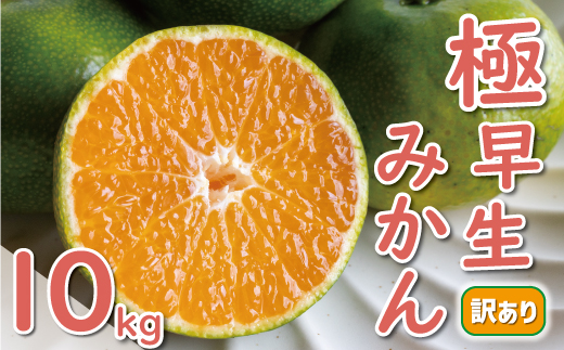 先行予約 訳あり 極早生 温州みかん 10kg 12000円 愛媛 みかん こたつ みかん 家庭用 産地直送 国産 農家直送 糖度 果樹園 期間限定 数量限定 特産品 ゼリー ジュース アイス 人気 限定 甘い 果実 果肉 フルーツ 果物 柑橘 蜜柑 先行 事前 予約 受付 ビタミン 健康 美容 美味しい ジューシー 規格外 サイズ ミックス 愛南町 愛媛県 ミッチーのおみかん畑 みかん みかん みかん みかん みかん みかん みかん みかん みかん みかん