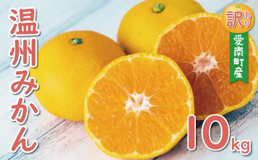 先行予約 訳あり 温州みかん 10kg 12000円 愛媛 みかん こたつ みかん 愛媛みかん ミカン mikan 家庭用 産地直送 国産 農家直送 糖度 果樹園 期間限定 数量限定 特産品 ゼリー ジュース アイス 人気 限定 甘い 果実 果肉 フルーツ 果物 柑橘 蜜柑 先行 事前 予約 受付 ビタミン 健康 おいしい ジューシー 規格外 サイズ ミックス 愛南町 愛媛県 ミッチーのおみかん畑 みかん みかん みかん みかん みかん みかん みかん みか