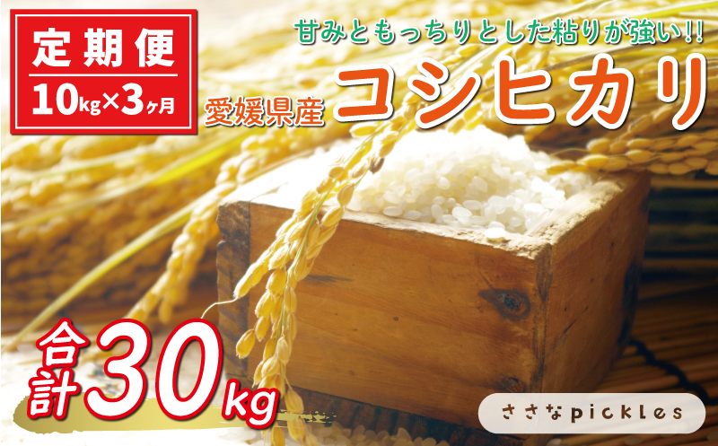 新米 令和6年産 定期便 10kg × 3回 コシヒカリ 合計 30kg お米 白米 こしひかり 米 こめ 精米 産地直送 国産 農家直送 期間限定 数量限定 特産品 令和6年度産 2024年産 大粒 もっちり 粘り 甘み おいしい おにぎり 人気 内祝い お祝い 贈答品 お返し プレゼント 土産 御礼 お礼 お取り寄せ 愛南町 愛媛県 ささなピクルス お米 お米 お米 お米 お米 お米 お米 お米 お米 お米 お米 お米 お米  お米  お米  お米  お米  お米  お米