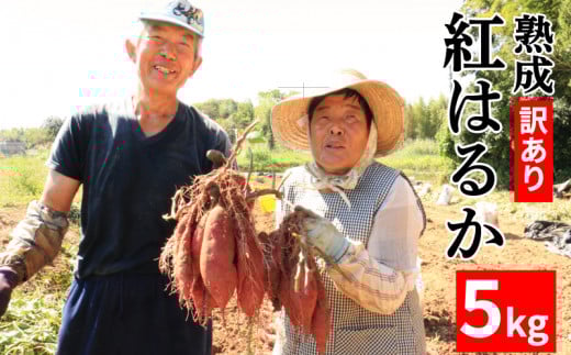 訳あり 熟成 紅はるか 5kg さつまいも いも 低温熟成 完全熟成収穫  M～2Lサイズ 高糖度 料理 国産 愛媛県 愛南町青果市場