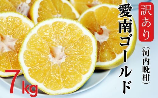 訳あり 愛南ゴールド ( 河内晩柑 ) 7kg みかん 蜜柑 河内晩柑 和製 グレープフルーツ 傷 不揃い 規格外 常温 愛媛県 愛南町青果市場 発送: 4月上旬～なくなり次第終了（みかん 愛南ゴールド みかん 河内晩柑 みかん 和製 みかん）