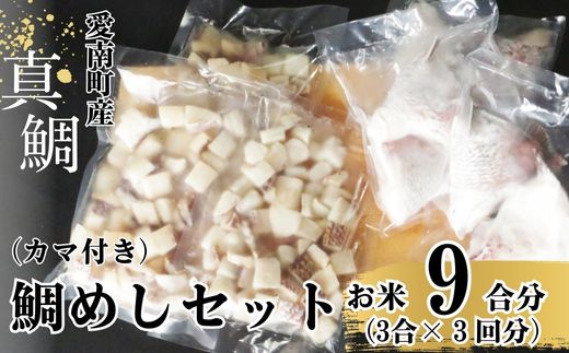 鯛めしセット （180ｇ×３パック） カマ付きまだい 鯛 冷凍 ダイスカット サイコロ コロコロ 角切り 鯛めし 釜めし 炊き込みご飯 10000円  おかず 惣菜 つまみ 入れるだけ 国産 魚介 特産品 魚介類 海産物 鮮魚 養殖 産地直送 海鮮 ブランド 簡単 お正月 お祝い 年末 年始 クリスマス パーティ お食い初め パック 愛南町 愛媛県 愛南サン・フィッシュ