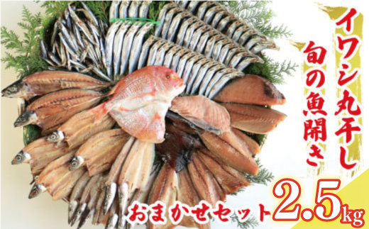訳あり 魚の 丸干し ＆ 開き おまかせ セット 2.5kg 10000円 魚 海鮮 干物 無添加 ひもの ひらき 詰め合わせ 冷凍 丸干し 鯵 アジ 鯖 さば サバ 鰹 かつお カツオ 鯛 たい タイ 鰯 いわし イワシ 切り身 おつまみ おかず 惣菜 人気 珍味 グルメ 規格外  国産 新鮮 魚介 天然 乾き物 乾物 酒のあて 旬 季節 お中元 お歳暮 母の日 父の日 武久海産 愛南町 愛媛県 干物 ひもの 干物 ひもの 干物 ひもの 干物 ひもの 干物 ひもの