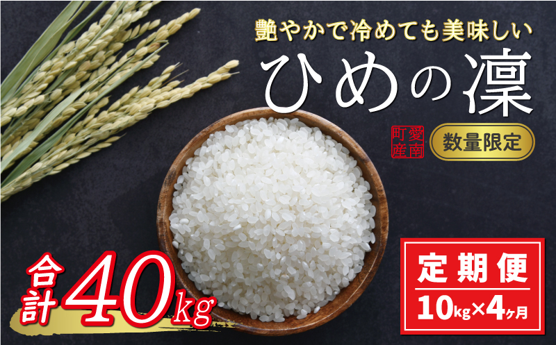 先行予約 新米 令和6年産 定期便 10kg × 4回 ひめの凜 合計 40kg 68000円 お米 白米 精米 米 こめ 産地直送 国産 農家直送 期間限定 数量限定 特産品 事前 令和6年度産 2024年産 新品種 人気 ブランド 大粒 もっちり 甘み 冷めても おいしい おにぎり コシヒカリ に負けない 内祝い お祝い 贈答品 お返し プレゼント 土産 御礼 お礼 お取り寄せ 愛南町 愛媛県 お米 お米 お米 お米 お米 お米 お米 お米 お米 お米 お米 お米