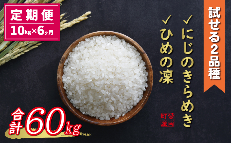 新米 令和6年産 定期便 10kg × 6回 にじのきらめき (3回) ひめの凜 (3回) 合計 60kg 96000円 お米 白米 精米 米 こめ 食べ比べ 産地直送 国産 期間 数量 限定 特産品 令和6年度産 2024年産 新品種 人気 ブランド 大粒 もっちり 甘み 冷めても おいしい おにぎり コシヒカリ に負けない 贈答品 お返し プレゼント お礼 お取り寄せ 愛南町 愛媛県 お米 お米 お米 お米 お米 お米 お米 お米 お米 お米 お米 お米 お米 お米