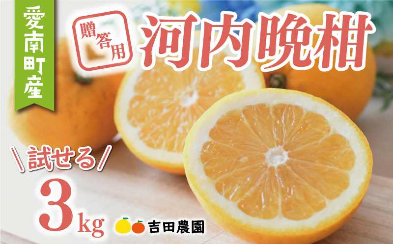 数量限定 先行予約 贈答用 河内晩柑 3kg 7000円 みかん かわちばんかん 愛南ゴールド あいなん ゴールド 夏 文旦 和製 グレープフルーツ 家庭用 産地直送 国産 農家直送 期間限定 ビタミン 健康 おいしい 特産品 ゼリー ジュース アイス 等に 人気 限定 さわやか 甘い フルーツ 果物 柑橘 mikan 蜜柑 ミカン ギフト プレゼント おすそわけ お試し 吉田農園 愛南町 愛媛県