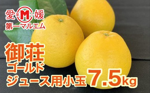 第一マルエムの御荘ゴールド（愛南産の河内晩柑）　ジュース用小玉7.5kg