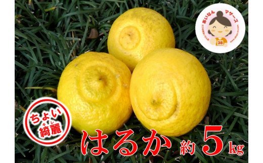 【ちょいキレ】あいなんマザーズのはるか5kg