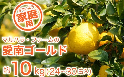 【家庭用】マルハラファームの河内晩柑10kg 発送期間:4月中旬?8月下旬