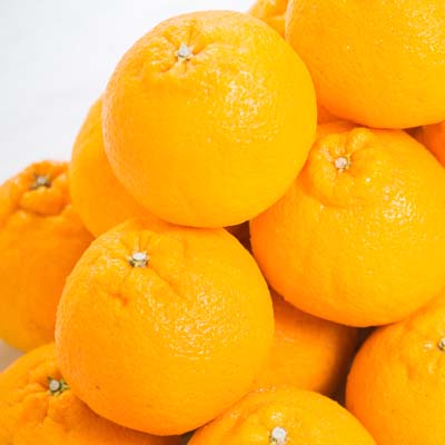 【家庭用】愛南フルーツの不知火５kg