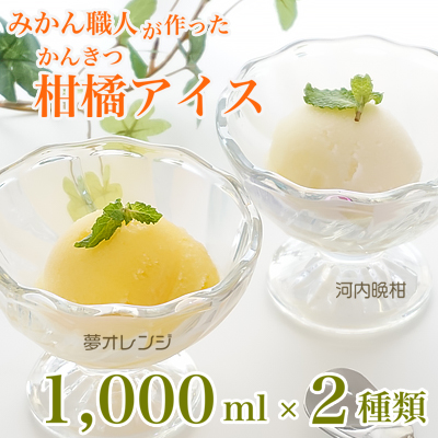 みかん職人が作った柑橘アイス1000ml×2種（夢オレンジ・河内晩柑）