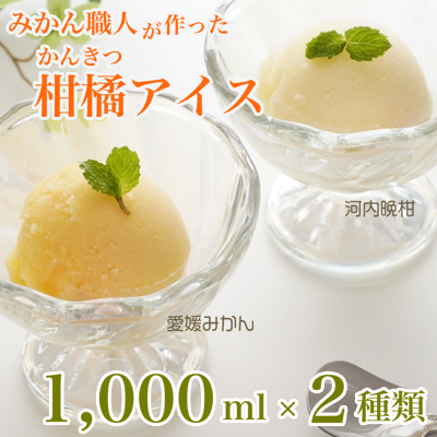 みかん職人が作った柑橘アイス1000ml×2種（愛媛みかん・河内晩柑）