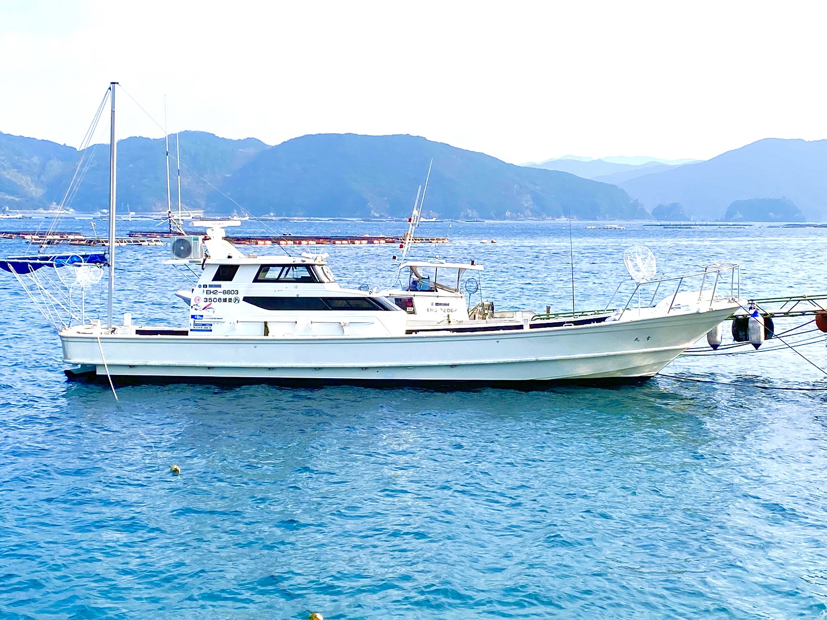 【幸丸（さちまる）】乗船チケット