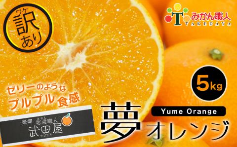 みかん 先行予約 [訳あり] みかん職人の夢オレンジ 5kg 愛媛県 愛南町 みかん職人武田屋