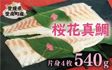 桜花 真鯛 切り身 4柵 合計 540g ( 270g ×2 パック ) 朝〆 まだい 鯛 愛南町 新鮮 冷凍 愛媛県 神経締め 皮引き 三枚おろし 国産 魚介 特産品 刺身 海鮮丼 鯛めし 鯛茶漬け