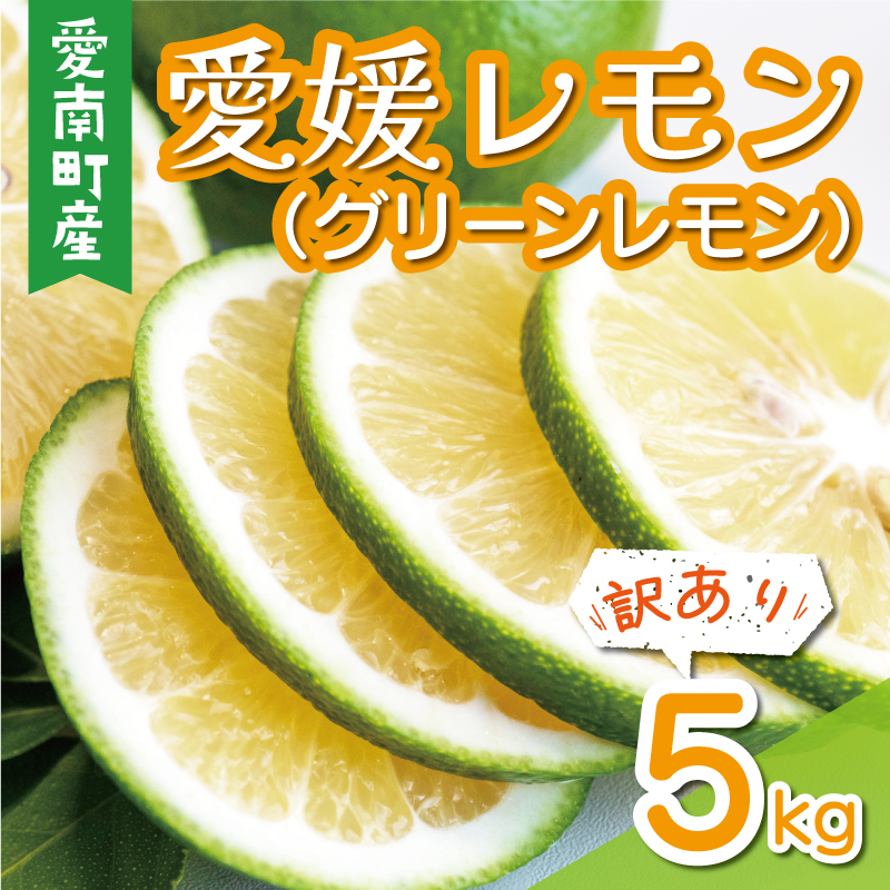 訳あり 愛媛 レモン （ グリーンレモン ） 5kg 7000円 柑橘 サイズ 不揃い 家庭用 檸檬 国産 フルーツ 果物 果実 産地直送 農家直送  数量限定 期間限定 特産品 瀬戸内 ワックス 防腐剤 不使用 果汁 人気 新鮮 レモネード 塩レモン レモン酢