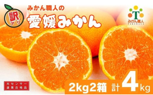 訳あり 愛媛みかん 2kg 2箱 セット 計4kg 人気 みかん 冬 秋 旬 糖度 糖度計 厳選 光センサー選果 柑橘 少量 果物 くだもの 国産 おすそ分け フルーツ スイーツ デザート お福分け みかん 蜜柑 大小 サイズ ミックス 不揃い 傷 温州 温州みかん ビタミン 美味しい 農家直送 地場産品 こだわり みかん職人武田屋 愛媛県 愛南町 発送期間:10月〜1月中旬