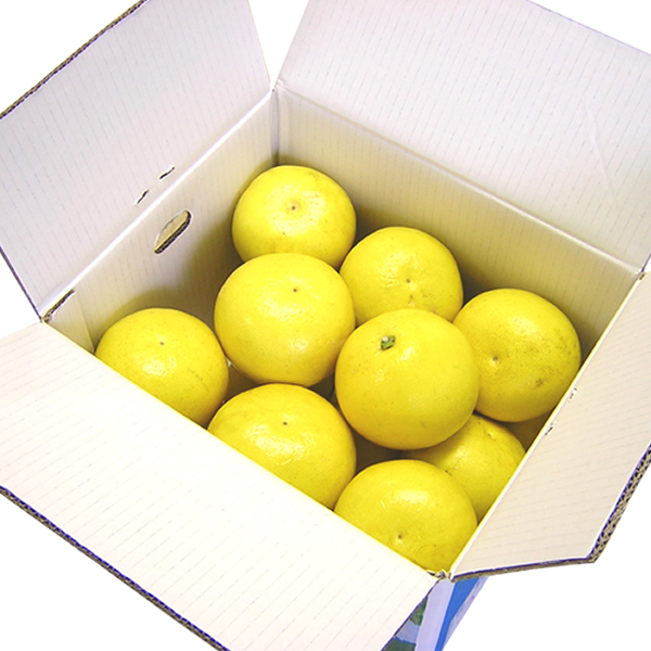 【E06014】高知の果物定期便(冬～春)