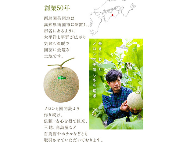 【C06036】高知県産　マスクメロン　1玉(約1.5kg)[期間限定品]