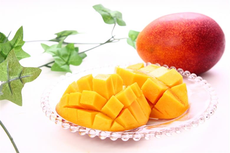 【E06015】高知の果物定期便(春～夏)