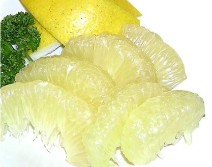 【C03042】高知県産 土佐文旦 10kg【ご家庭用】［期間限定品］