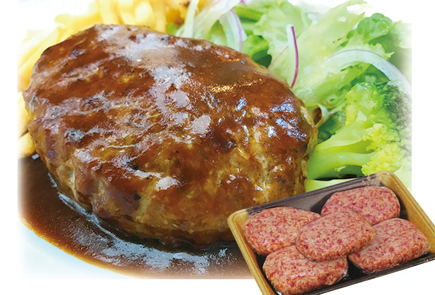 【B06056】土佐あかうし　ハンバーグ5個セット