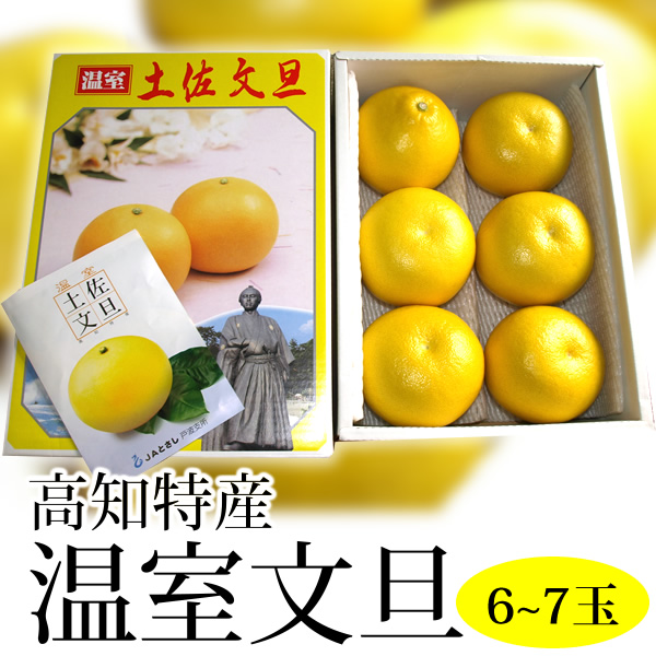 【C06037】温室文旦 3kg・6〜7玉［期間限定品］