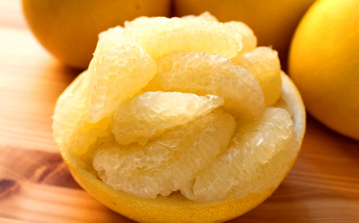 【先行予約】 千光士農園の土佐文旦 約5kg 家庭用 〈2026年2月中旬より発送〉 / 文旦 ぶんたん ブンタン 土佐文旦 柑橘 果物 フルーツ デザート 春 期間限定 季節限定 土佐 高知 【株式会社Dorago】 [ATAM062]