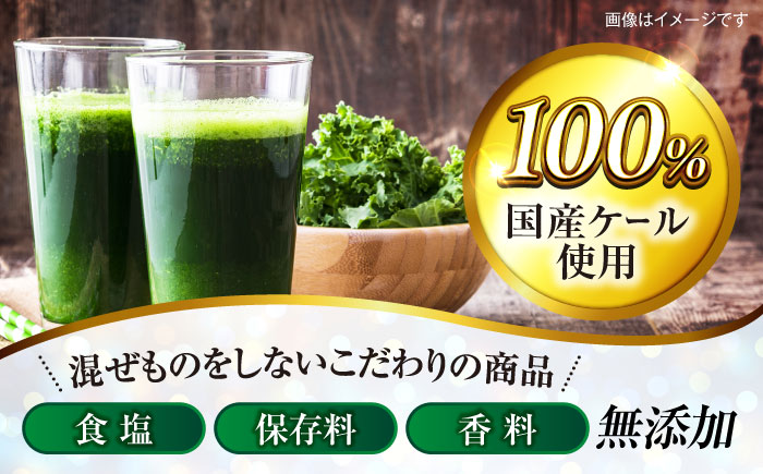 遠藤青汁 【生】 冷凍 1箱 (100g×28袋) / 健康 美容 乳酸菌 ケール ビタミン ミネラル 食物繊維 冷凍 青汁 遠藤青汁 新鮮 高知市 【グレイジア株式会社】 [ATAC001]
