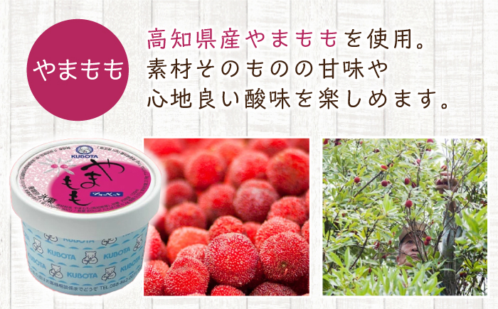 おすすめカップ 12個セット / スイーツ アイス アイスクリーム【グレイジア株式会社】[ATAC211]