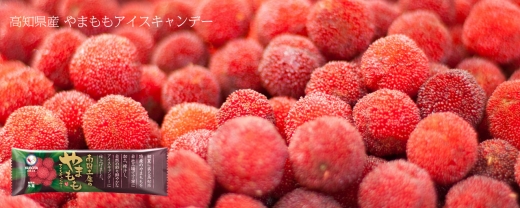 南国土佐のやまももアイスキャンデー 20本入 / スイーツ アイス アイスクリーム【久保田食品】 サイズ3 / スイーツ アイス アイスクリーム【グレイジア株式会社】[ATAC261]