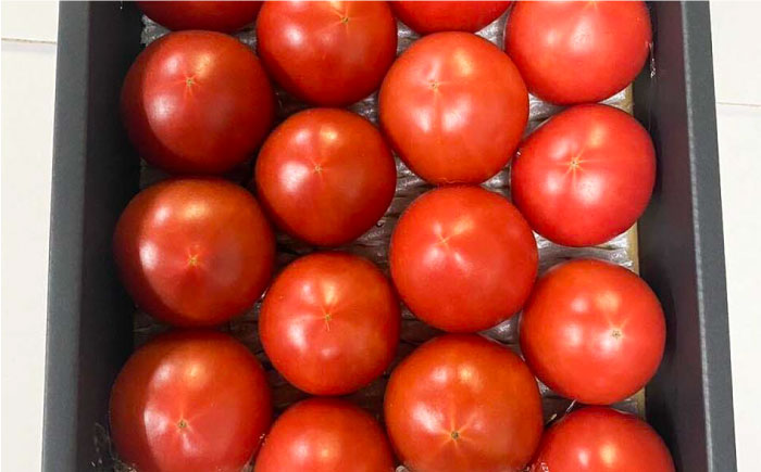 濃厚!徳谷トマト約1.0kg 箱詰 生産者指定なし 厳選上級品 ＜2025年1月下旬以降発送＞【グレイジア株式会社】 [ATAC322]