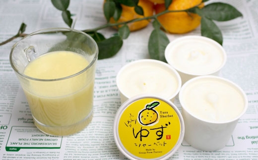 ふんわり ゆずシャーベット 6個セット 柚子 アイス 土佐 / スイーツ アイス アイスクリーム【グレイジア株式会社】[ATAC375-06]