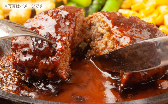 土佐あかうしハンバーグ 150g×5コ 【株式会社 四国健商】 [ATAF016]