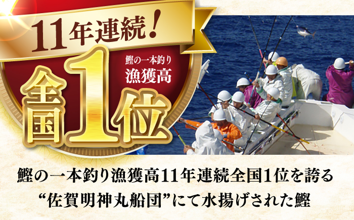 明神水産 藁焼き鰹 (カツオ) たたき1節 (約300g) セット / 鰹 カツオ かつお 鰹 藁焼き カツオ 高知 ワラ 美味しい 完全藁焼き 多田水産【株式会社 四国健商】[ATAF027]