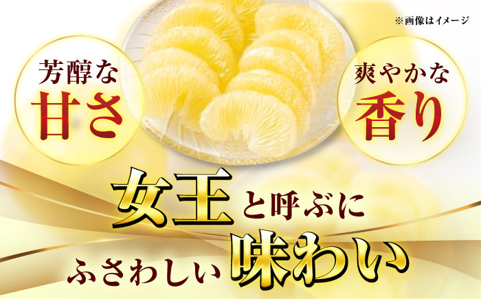 高知県産 水晶文旦 約3kg 6玉入 贈答用〈2026年9月下旬～11月上旬頃発送〉 /  高知 水晶 文旦 柑橘 果物 フルーツ くだもの 贈答 お中元 お歳暮 ギフト ぶんたん 【株式会社　四国健商】[ATAF032]