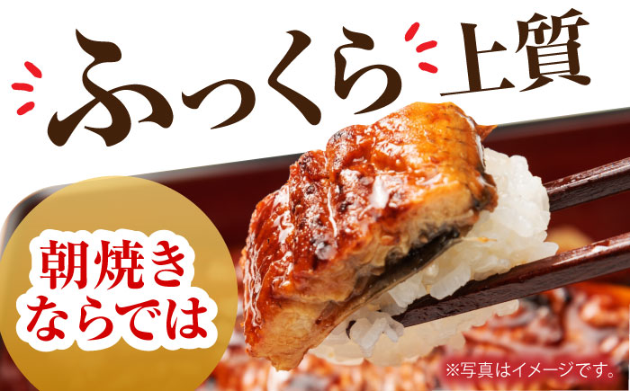 【3回定期便】高知県産 朝焼きうなぎ蒲焼 2尾セット 【株式会社 四国健商】 [ATAF086]