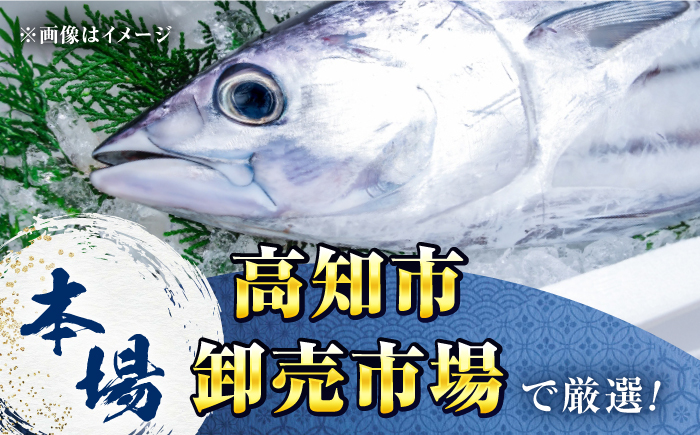 【12回定期便】満腹!かつおのたたき 約1.3kg~1.5kg 総計約15.6kg～18kg 【株式会社 四国健商】 [ATAF094]