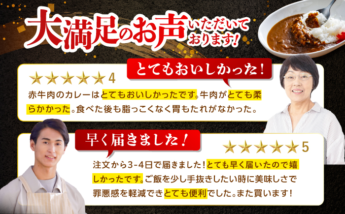 【3回定期便】高知土佐あかうしビーフカレー 10食セット/ レトルト カレー あか牛 土佐あかうし 牛肉 牛カレー 保存食 常備 人気 おすすめ 高知市 【株式会社 四国健商】 [ATAF137]
