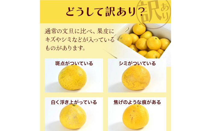 【先行予約】高知県産 訳あり 土佐文旦 約3kg 〈2026年2月～発送〉 / 傷 シミの訳アリ  大容量 ぶんたん 文旦 訳あり わけあり 果物 【株式会社　四国健商】 [ATAF151]