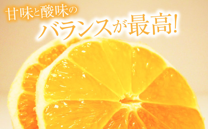【先行予約】土佐小夏 Mサイズ 約5kg 36個前後〈2026年4月中旬～2026年7月中旬頃発送〉/ 日向夏 みかん ニューサマーオレンジ 柑橘 フルーツ こなつ 小夏 果物 特産 5キロ 高知県 <2025年4月～発送> 【フルーツショップオザキ】 [ATAH005]