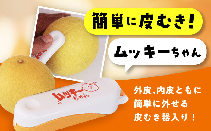南国土佐の女王柑橘 水晶文旦 約5kg 8玉入り〈2025年9月中旬～2025年12月下旬頃発送〉/ 大玉サイズ 文旦 ぶんたん フルーツ 果物 5キロ 高知県 【フルーツショップオザキ】 [ATAH009]